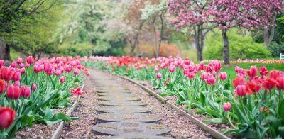 Garden pathway delicately designed with florals and stone